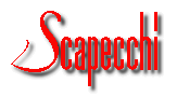 Logo Scapecchi Spa